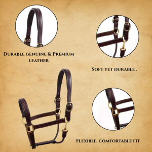Halter de cuero de caballo Premium con accesorios de latón duraderos hechos a mano para estilo y fuerza - Product Image 4