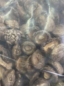 Setas shiitake secas de exportación a granel a precio barato de proveedor de Vietnam - Product Image 3