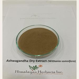 Tambor envasado al vacío, mejor precio al por mayor, polvo orgánico de raíz de Ashwagandha, cantidad a granel, suplemento de solvente UV HPLC puro GMP - Product Image 5