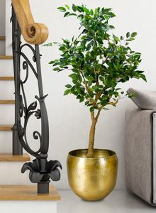 Maceta de latón de primera calidad con detalles antiguos hechos a mano, perfecta para fines decorativos del hogar o la oficina - Product Image 5