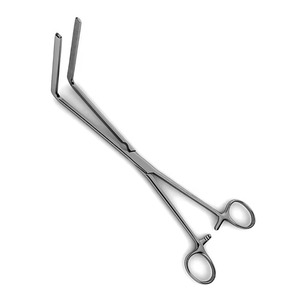 Pinza Intestinal Quirúrgica Fehland de 10 Pulgadas con Mandíbula Larga, Acero Inoxidable de Grado Médico, Herramienta Manual Reutilizable para el Intestino - Product Image 2