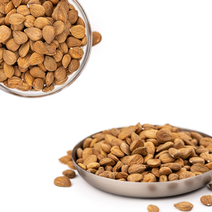 Apricot Kernel | ทำความสะอาดเรียงลำดับและส่งออกพร้อม - Product Image 3