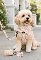 Ensemble Harnais Floral pour Chien Réglable Anti-Traction avec Collier, Laisse, Bandana, Nœud et Porte-Sac à Déchets pour Chiens de Petite et Moyenne Taille