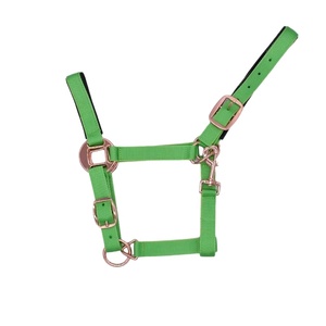 Horse <b>Halters</b> Nylon Traction Halter Green Handcrafted Horse Bridle Premium Leather Headstall Adjustable Design - Product Image 1