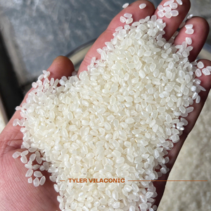Vietnam Arborio Rice Sushi Rice Tyler Rice Secado Suave - Product Image 1