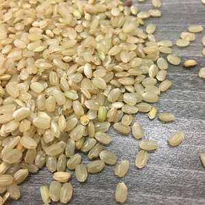 Arroz Integral Orgánico Vietnamita de Grano Corto, Arroz Basmati, Jazmín y Sella Cultivado Fresco en los Países Bajos, Arroz Parboiled de Textura Dura, Grado Superior 24 - Product Image 4