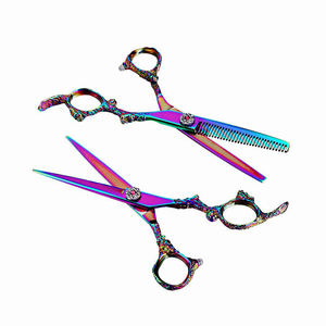 Ensemble de 2 ciseaux de coiffeur, ciseaux à cheveux droits et ciseaux à effiler en acier inoxydable avec étui en cuir - Product Image 1