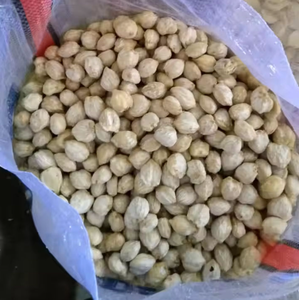 GOOD PRICE DRIED CANDLE NUTS - Product Image 1