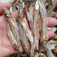 Vente en gros de mini anchois séchés, petits poissons sprat séchés, anchois de qualité supérieure à séchage au soleil de l'usine du Vietnam