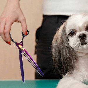 Tijeras de Peluquería Canina de Alta Calidad, Profesionales, de Acero Inoxidable, con Marca Personalizada para Perros y Gatos - Product Image 5