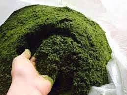 Purple Leaf <b>Powder</b> Natural <b>Food</b> <b>Colorant</b> Made from Magenta Plant for Traditional <b>Foods</b> and Beverage Processing - Product Image 5