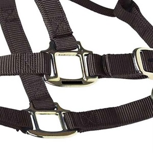 Licol pour cheval à usage professionnel, réglable, design robuste pour l'entraînement, la manipulation, le contrôle en écurie et les soins équestres - Product Image 3