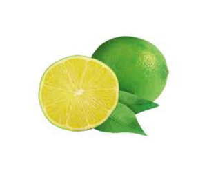 Purée de calamansi congelée en gros approvisionnement en gros 100% purée aromatique naturelle qualité d'exportation du Vietnam pour les jus de fruits smoothies à tartiner - Product Image 4