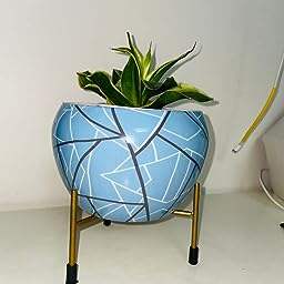 Top jardinières et pots à la mode finition décorative pour la maison et la décoration de mariage jardinières en métal décoration de plantes vertes - Product Image 5