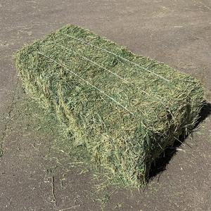 Pacas de heno de alfalfa de alta calidad comprimidas y secas para alimentar animales Suministro de exportación de heno de alfalfa a granel En stock - Product Image 3