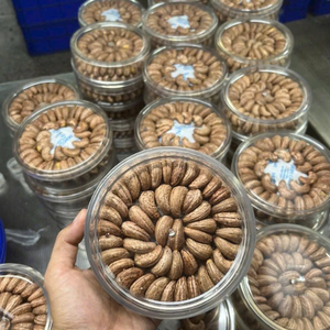 เม็ดมะม่วงหิมพานต์เค็มส่งตรงจากผู้จำหน่ายจากเวียดนาม - Product Image 4