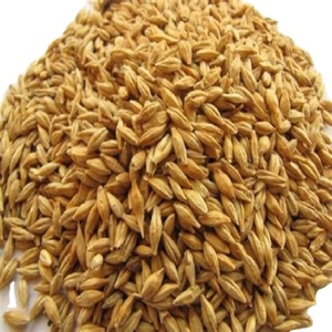 Grains d'orge maltés torréfiés séchés de qualité supérieure en gros 50 kg Alimentation animale pour poissons - Product Image 2