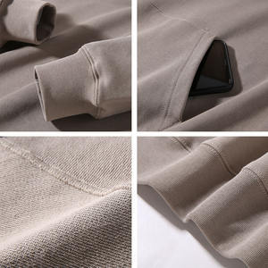 High Street Styles Famosa marca OEMODM 460g Sudaderas con capucha de algodón pesado Sudaderas con capucha para hombres - Product Image 4