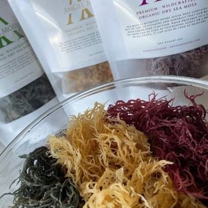 Musgo irlandés natural, precio competitivo, entrega rápida - Product Image 1