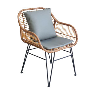 Outdoor Garden <b>Chair</b> TTG001 Rattan-Look Plastic with Iron Metal for Patio or Yard - Product Image 1