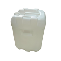 OEM 20L 25L 30L Seau de stockage d'eau en plastique Camping en plein air Conteneur d'eau en plastique portable Bidon de jerrycan en provenance du Vietnam