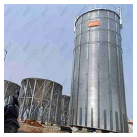 Silo di Stoccaggio per Chicchi di Caffè in Acciaio Zincato a Doppio Strato a Prezzo di Fabbrica, Durata 25-40 Anni, con Controllo PLC SIRO per l'Esportazione