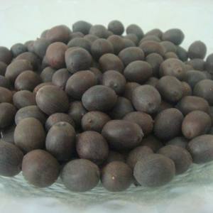 Best Price Superb Quality of Natural Frozen Natural Lotus <b>Nut</b> - Product Image 2