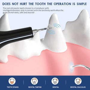 OEM ODM Toilettage Intelligent Écologique Pliable Alimenté par Batterie Nettoyeur de Dents à Ultrasons en Plastique Portable Brosse à Dents pour Animaux de Compagnie - Product Image 5