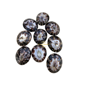 Coquilles de limpets en vrac, décoratives, naturelles, pour bricolage et design - Product Image 3