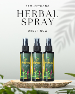 Samleethong Thai Auténtico Aerosol de hierbas Extracto de planta natural Hueso de pollo de hueso negro Helecho Aliviar dolores Dolores OEM disponible - Product Image 6