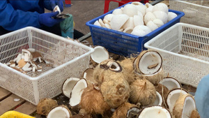 Viande de noix de coco congelée de qualité supérieure Origine vietnamienne Organique OEM Fournisseur en vrac d'exportation Idéal pour la cuisson des smoothies et des desserts et la crème glacée - Product Image 5