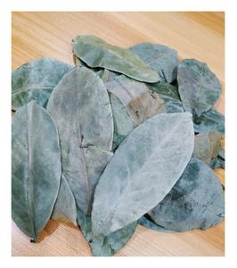 ถุงชาหญ้าจันทน์แห้งระดับพรีเมียม ใบหญ้าจันทน์แห้งที่ได้รับการตรวจสอบจากธรรมชาติขายส่งจากชาใบหญ้าฝรั่งในเวียดนาม - Product Image 5