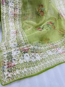 Pista luchnomi chikan-Saree de seda de Organza, elaborado con patrones de tejido tradicional - Product Image 2