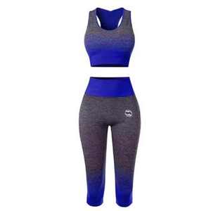 Conjunto de Ropa Deportiva de Punto sin Costuras para Mujer, 2 Piezas, Leggings Deportivos de Cintura Alta y Conjunto de Sujetador Deportivo, Oferta - Product Image 1