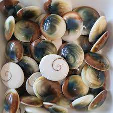 Artisanat naturel placage de coquille d'oeil de chat du Vietnam Technique polie élément décoratif de coquillage - Product Image 6