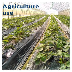 Película de envoltura de plástico elástica Lldpe a prueba de humedad de 30cm de ancho Original de Vietnam para embalaje de equipos de palés para plantas agrícolas - Product Image 3