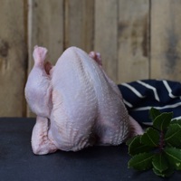 Poulet entier congelé IQF biologique de haute qualité, certifié Halal, enrichi en vitamines, faible en gras, qualité supérieure, grade A, en gros