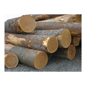 Troncos de Madera de Roble de Alta Calidad |   Troncos Redondos de Madera de Roble a Bajo Precio - Product Image 5