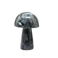 Haute qualité cristal champignon Larvikite Gua Sha corps naturel grattage outil de Massage visage pierre précieuse champignon en gros