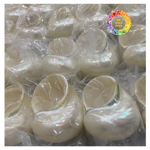 ของตกแต่งเทอร์โบเปลือกหอยธรรมชาติแบบพรีเมียมส่งออกจากเวียดนาม - Product Image 2