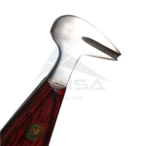 Herramienta Profesional para Herradores, Raspador de Pezuñas de Acero Inoxidable, Instrumentos Veterinarios Duraderos ANSA, Más Vendido - Product Image 3