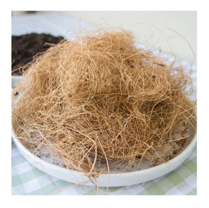 Vente en gros de fibres de palmier naturelles / fibres de sisal / fibres de noix de coco - Product Image 6