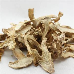 <b>Cultivated</b> Dried Oyster Mushroom Whole Raw Ready for Export in Large Quantities Packaged in Bags for Eating - Product Image 4
