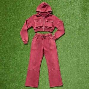 Nouvel arrivage : Ensemble jogging et sweat à capuche zippé style hip-hop vintage brodé, 100 % coton léger, pour l'hiver - Product Image 2