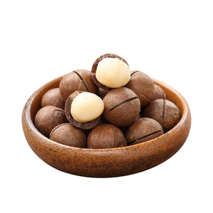 Compre Nueces de Macadamia con Cáscara de la Mejor Calidad, Listas para Exportar - Product Image 1