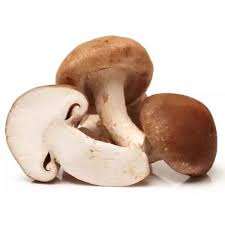 IQF Buyers Price Frozen Shiitake Mushrooms 1kg <b>Cultivated</b> Whole dried mushrooms for sale - Product Image 5