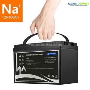 Batería de estado sólido LiFePO4 de ciclo de vida prolongado 12V/12.8V 100Ah para almacenamiento solar en RV con BMS, densidad de energía de 140-160 Wh/kg - Product Image 2