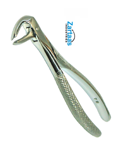 Fórceps de extracción de acero inoxidable de alta calidad para molares inferiores para niños Fig 73K exportadores y fabricante - Product Image 6