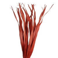 Feuilles de palmier décoratives pour vase de sol, compositions colorées et séchées pour la décoration de la maison et de l'entreprise Décor floral Faux Grass de