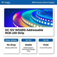 Tira de Luces LED RGB Direccionables WS2815 de 12V CC, 30/60/144 Píxeles Programables, Cinta de Píxeles IP20-IP68 Resistente al Agua para Iluminación de Hoteles